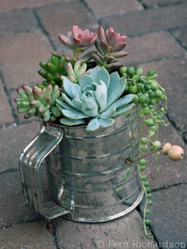 plant pot made from flour sifter
